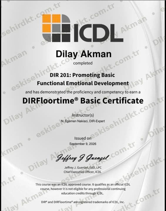 DIR 201 — DIRFloortime® Basic Certificate belgesi önizlemesi