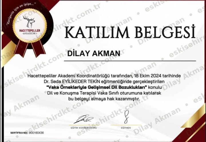 Vaka Örnekleriyle Gelişimsel Dil Bozuklukları belgesi önizlemesi